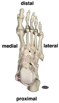 foot orientation image