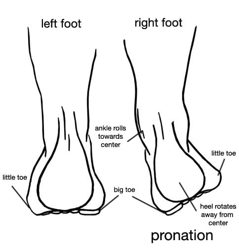 foot pronation diagram