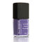 Dr.'s Remedy Non-Toxic Nail Polish - polish AMITY Amethyst